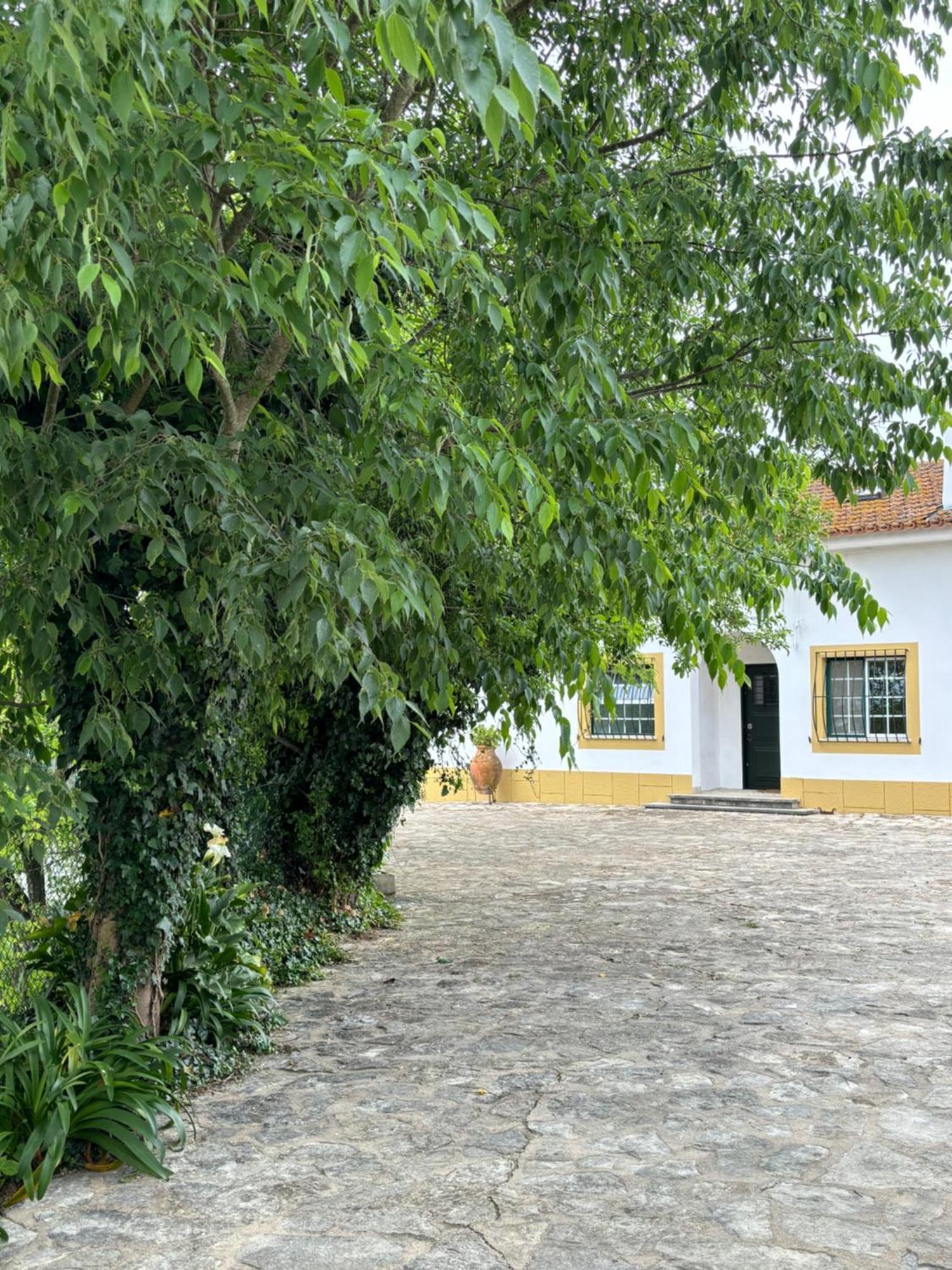 Casa Da Nogueira Vila Tomar Exterior foto